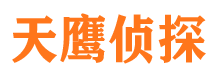 武城市侦探调查公司